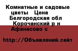 Комнатные и садовые цветы › Цена ­ 250 - Белгородская обл., Корочанский р-н, Афанасово с.  »    